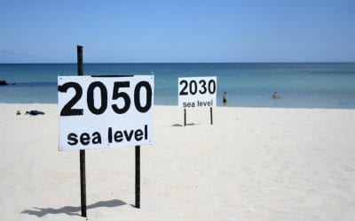 Sea Level Rise and Adaptive Development